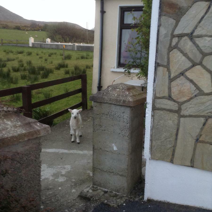 Sea View Chalet Kilsallagh Westport Co Mayo מראה חיצוני תמונה
